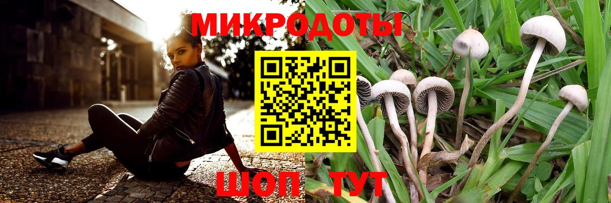 Галлюциногенные грибы прущие грибы  Вход с VPN  Саров 
